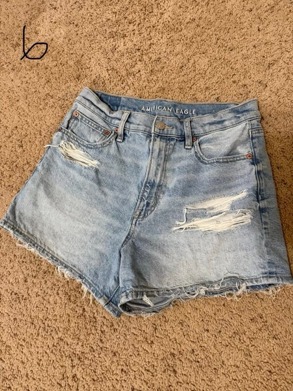 American Eagle Outfitters Light Wash Distressed Denim Shorts